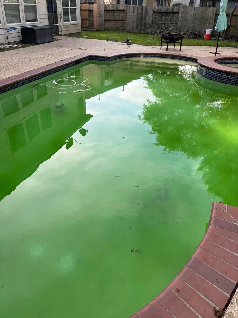 Green Pool Cleaning