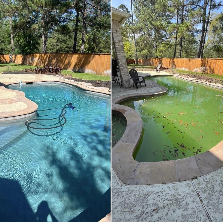 Green Pool Cleaning